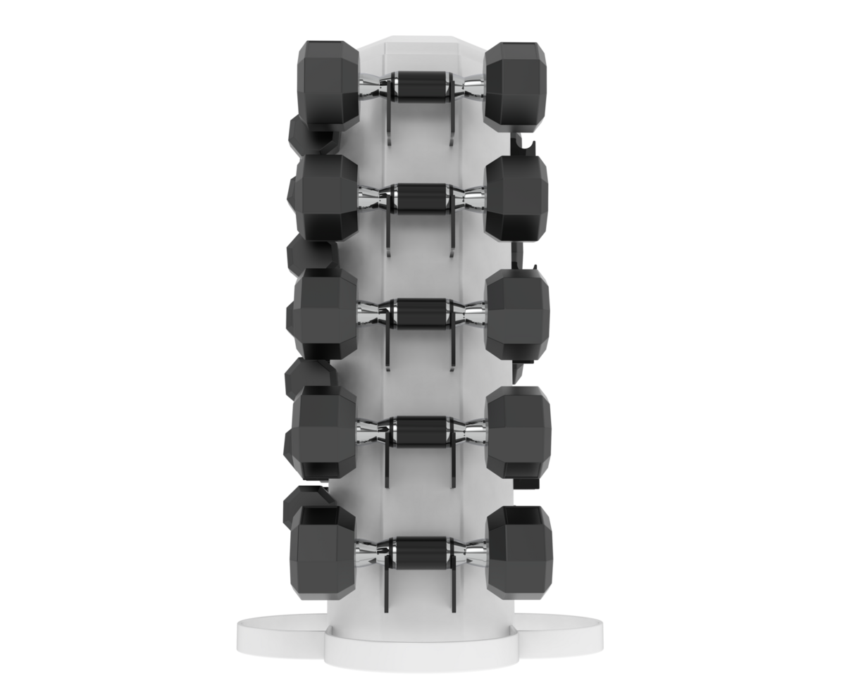 Weight tree with dumbbells isolated on background. 3d rendering - illustration png
