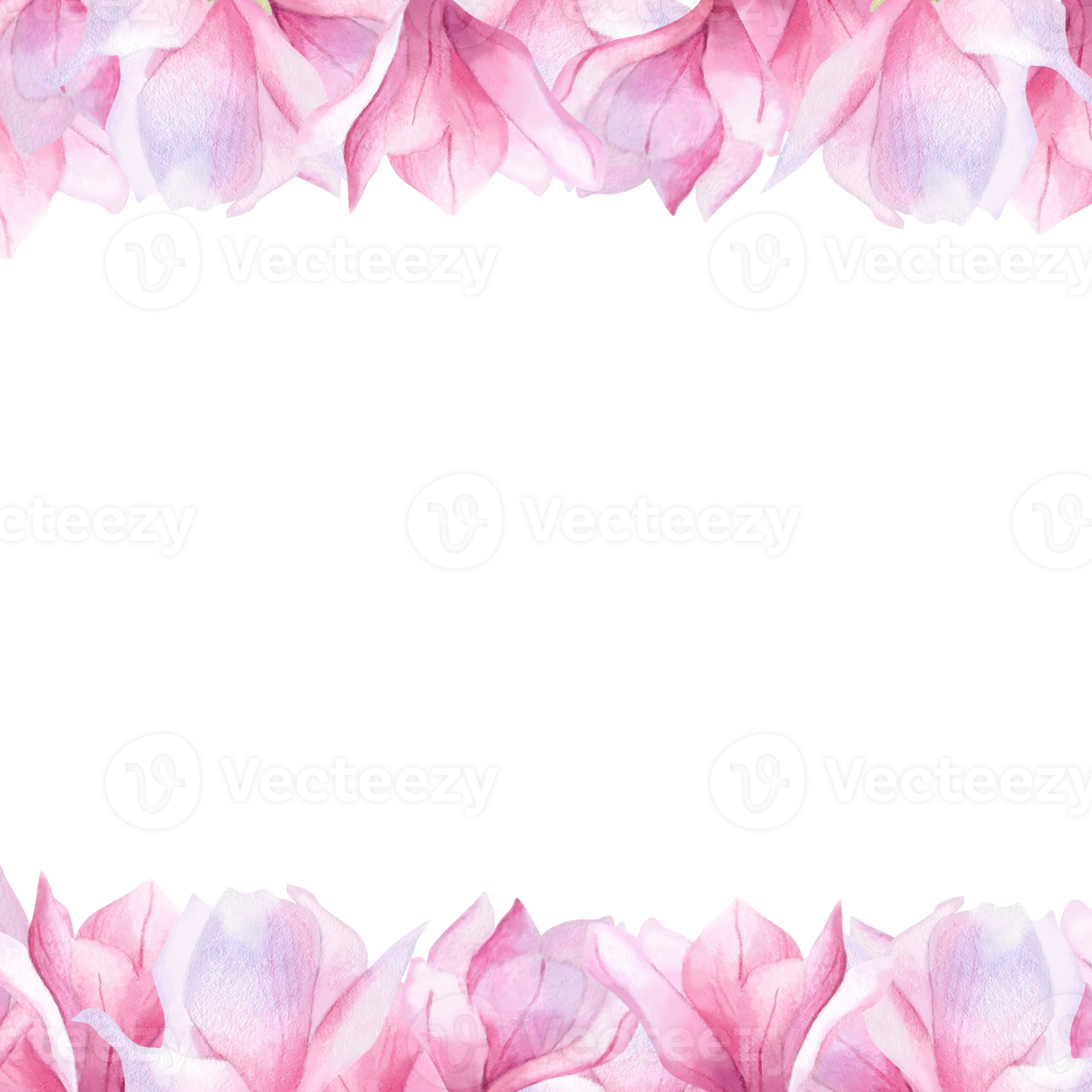 Watercolor banner with pink magnolia flowers for border poster wrapping