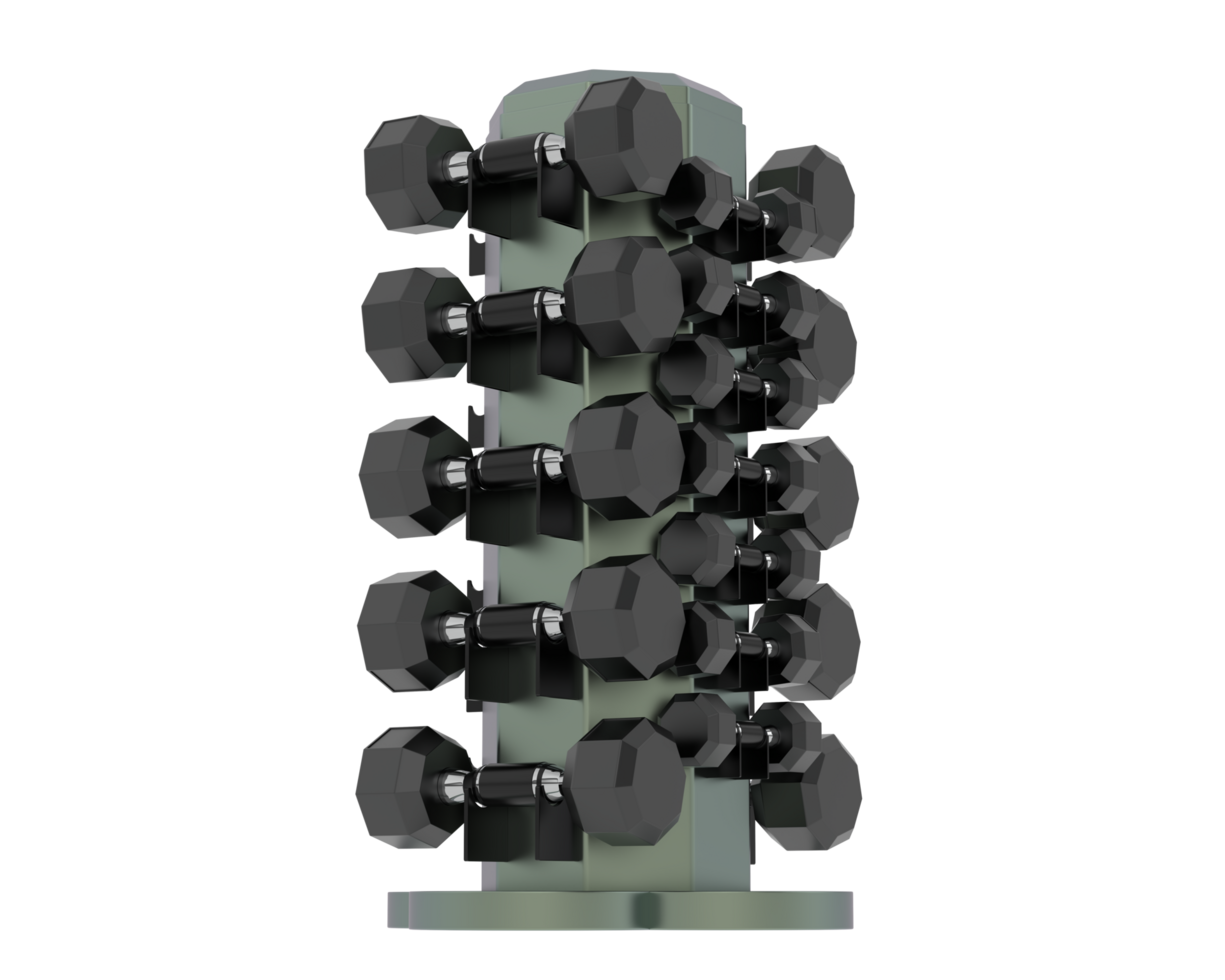 Weight tree with dumbbells isolated on background. 3d rendering - illustration png