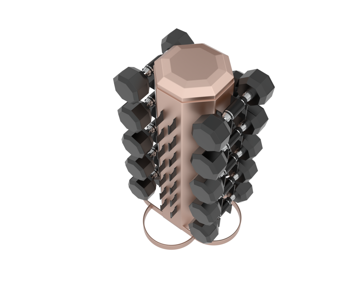 Weight tree with dumbbells isolated on background. 3d rendering - illustration png