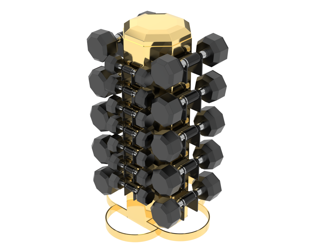 Weight tree with dumbbells isolated on background. 3d rendering - illustration png