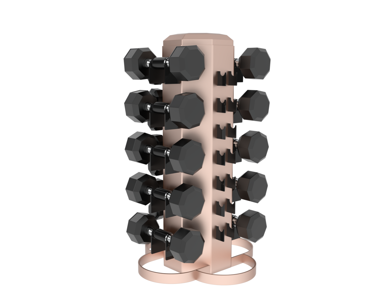 Weight tree with dumbbells isolated on background. 3d rendering - illustration png