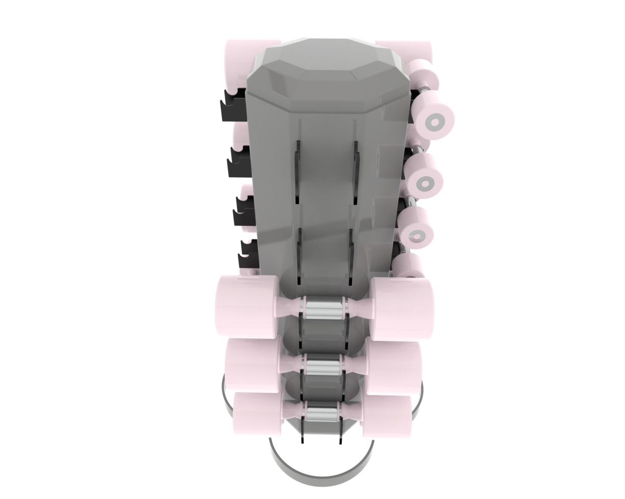 Weight tree with dumbbells isolated on background. 3d rendering - illustration png