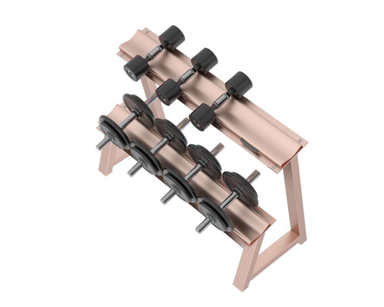 Dumbbells on rack isolated on background. 3d rendering - illustration png