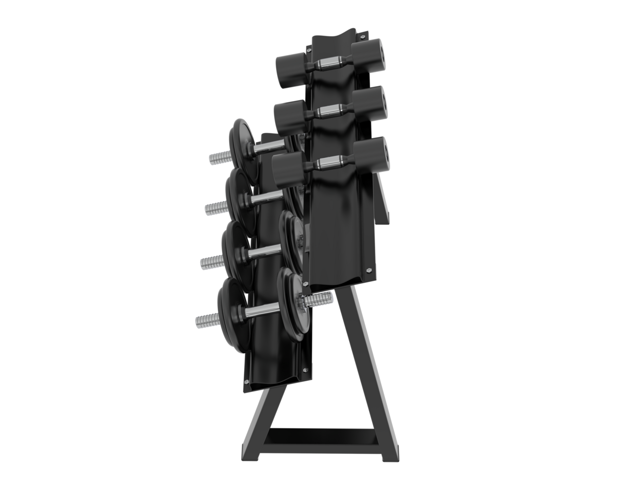 Dumbbells on rack isolated on background. 3d rendering - illustration png