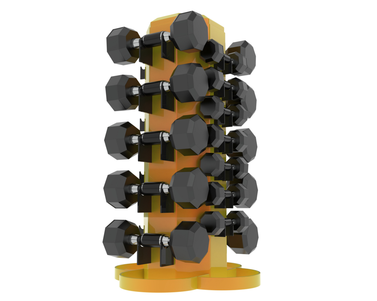 Weight tree with dumbbells isolated on background. 3d rendering - illustration png