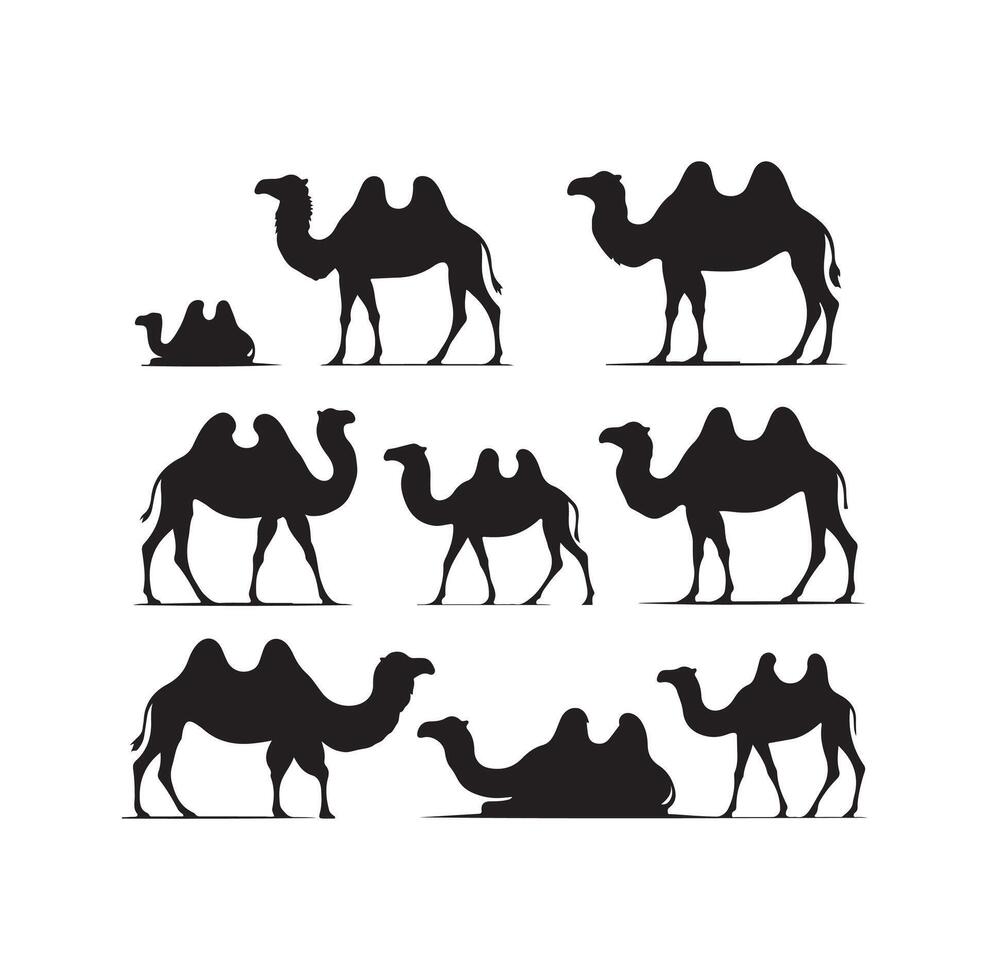 camel silhouettes illustration on white background vector