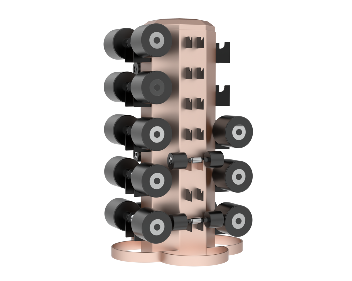 Weight tree with dumbbells isolated on background. 3d rendering - illustration png