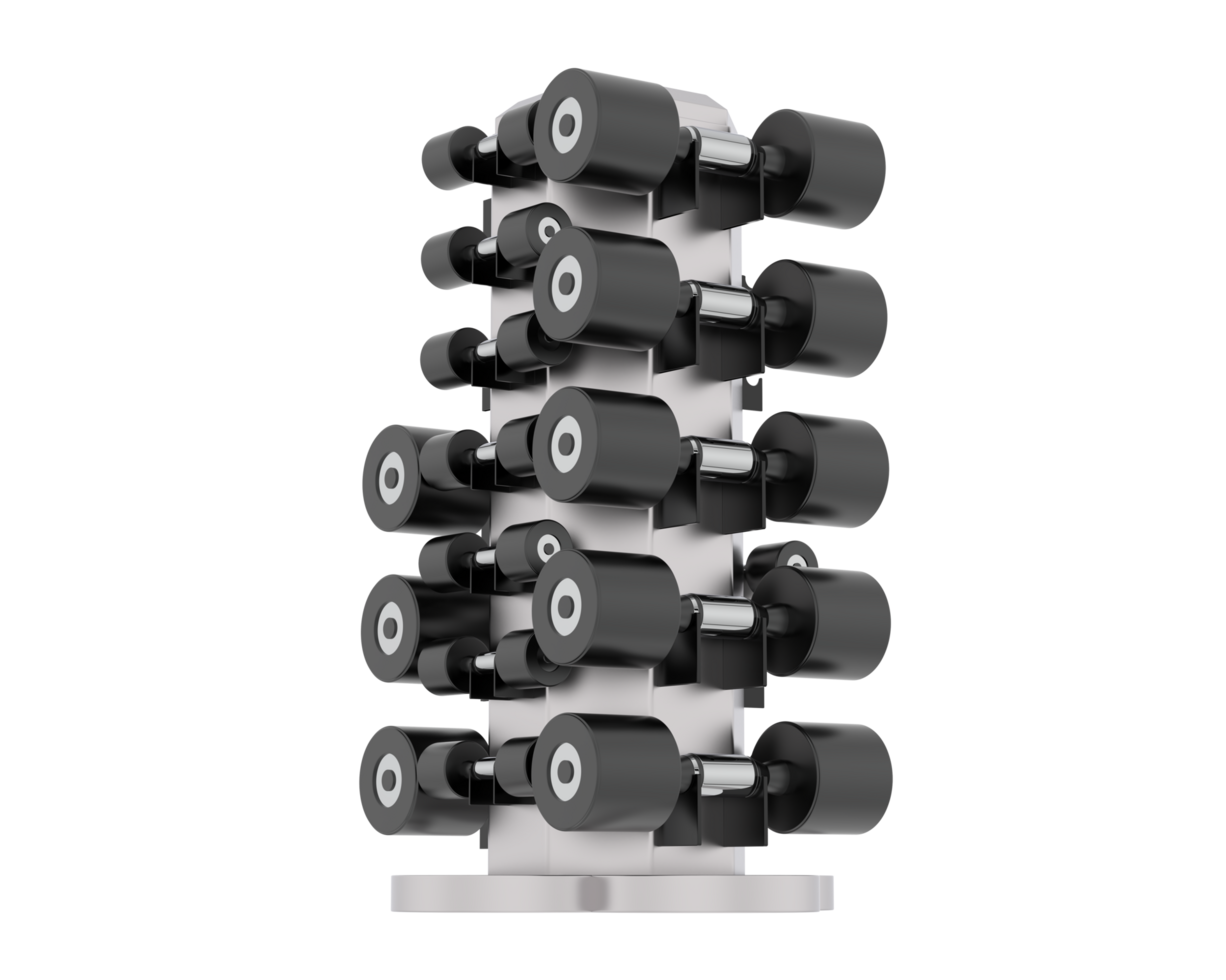 Weight tree with dumbbells isolated on background. 3d rendering - illustration png