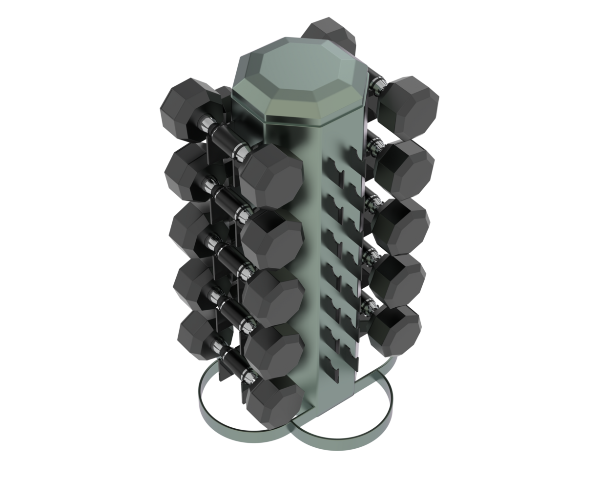 Weight tree with dumbbells isolated on background. 3d rendering - illustration png