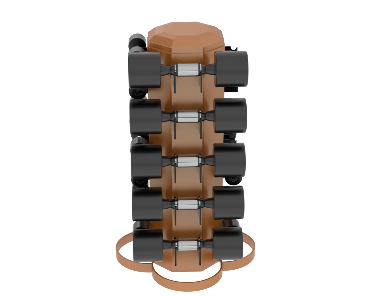 Weight tree with dumbbells isolated on background. 3d rendering - illustration png