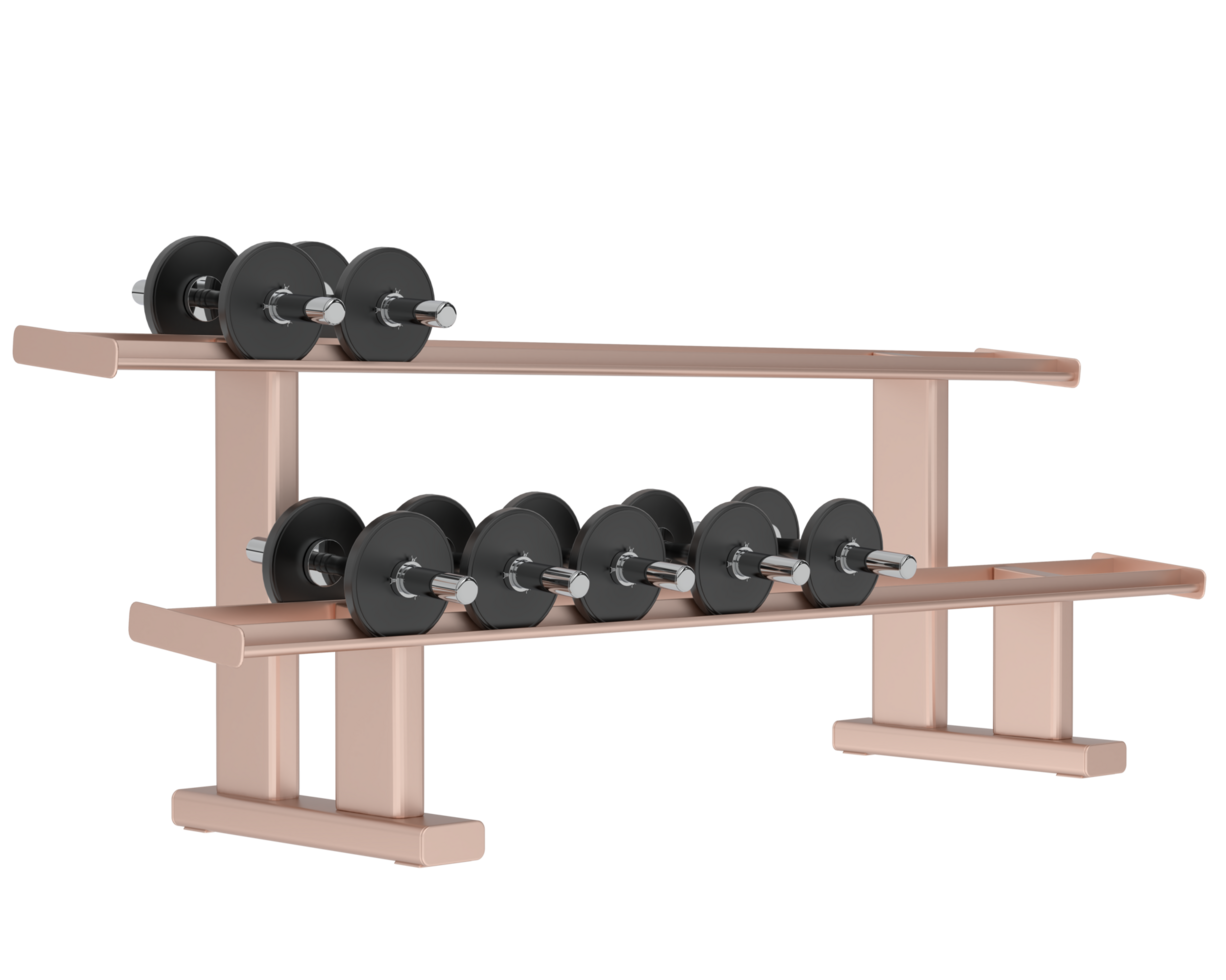 Dumbbells on rack isolated on background. 3d rendering - illustration png