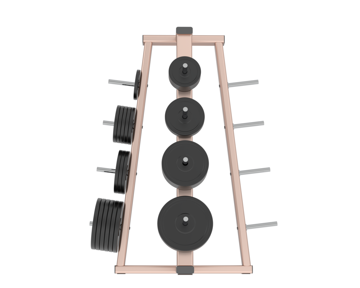Weights on rack isolated on background. 3d rendering - illustration png