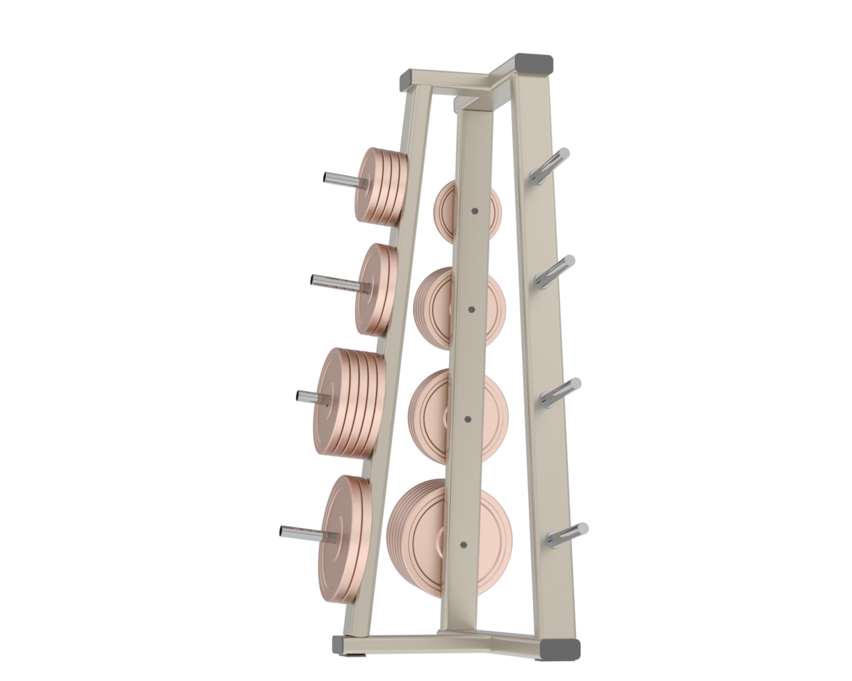 Weights on rack isolated on background. 3d rendering - illustration png