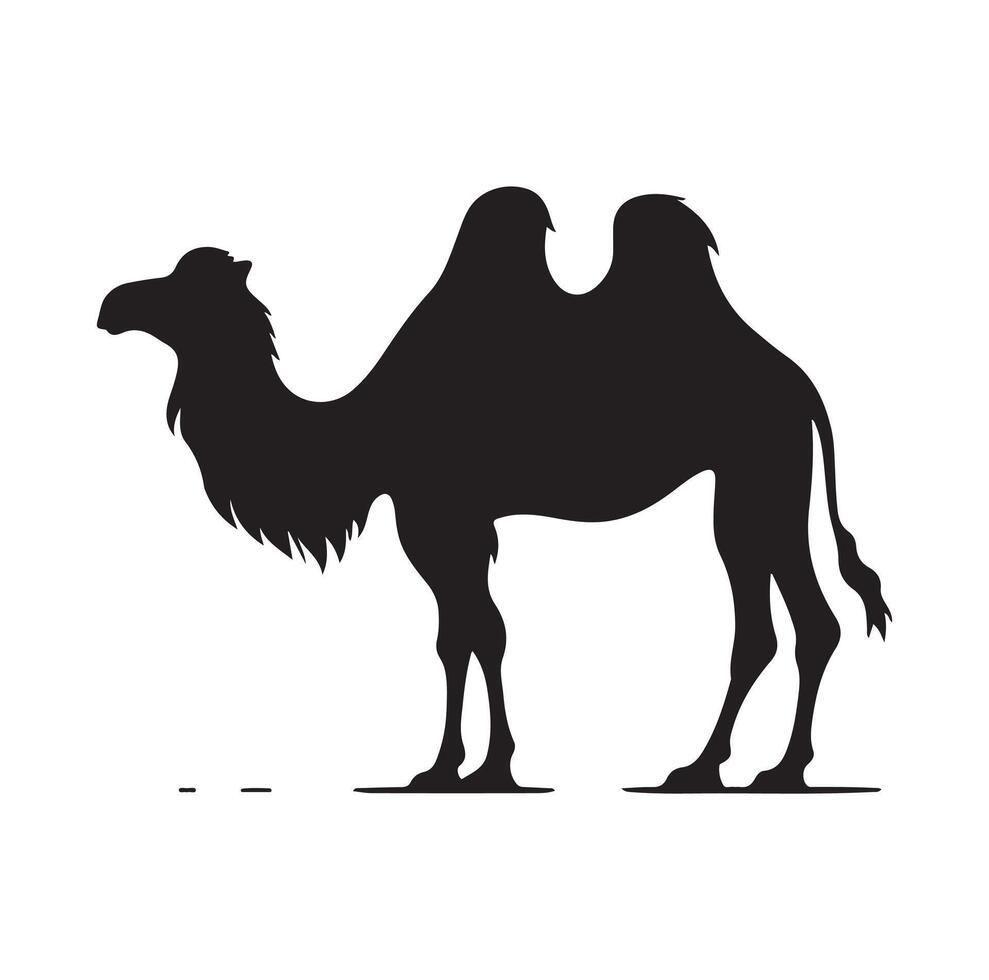 camel silhouettes illustration on white background vector