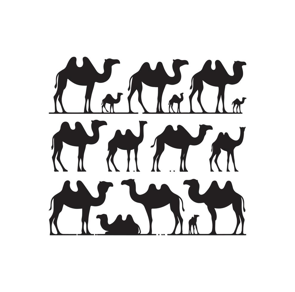 camel silhouettes illustration on white background vector
