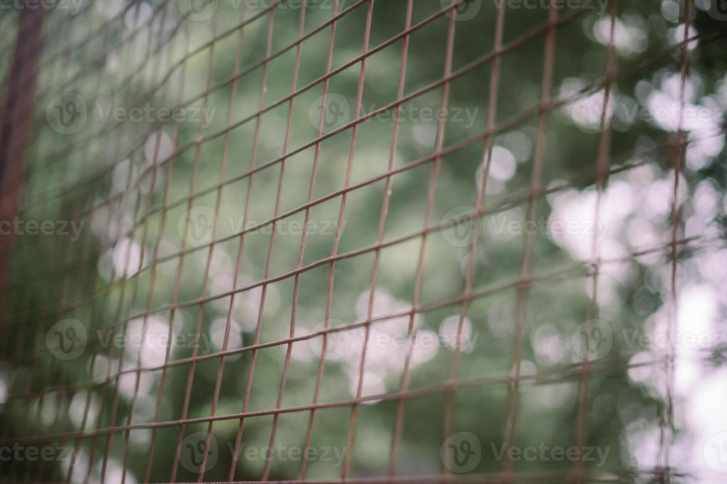 Iron wire fence providing security and boundary photo