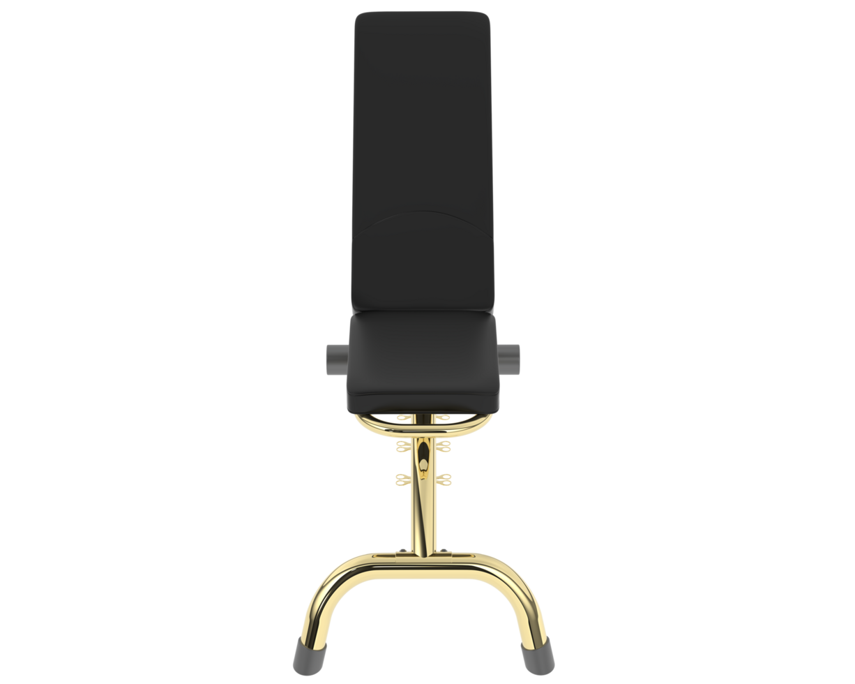 Gym bench isolated on background. 3d rendering - illustration png