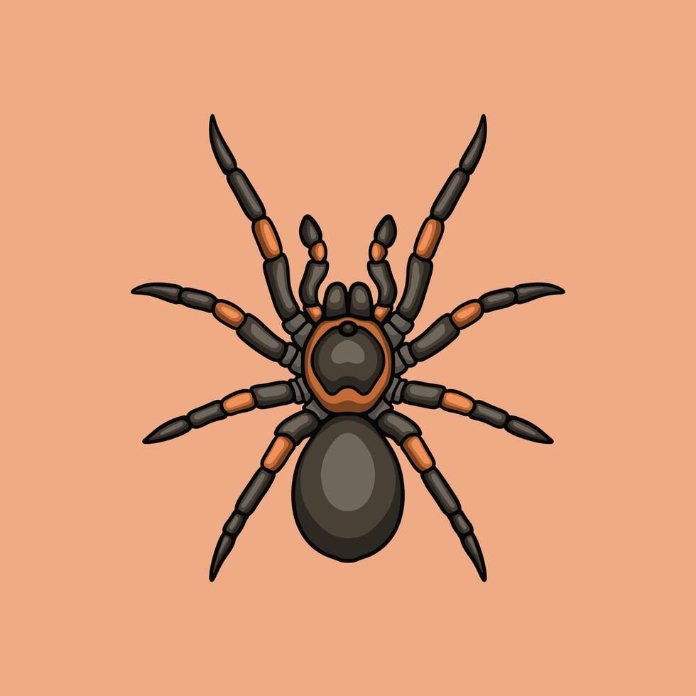 Tarantula Spider Illustration Clipart vector
