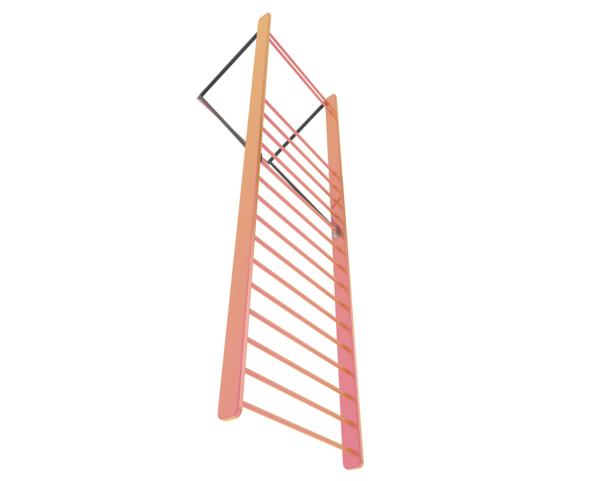 Gymnastics wall bars isolated on background. 3d rendering - illustration png