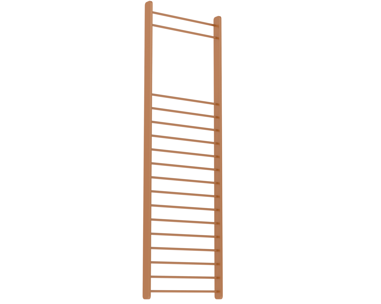Gymnastics wall bars isolated on background. 3d rendering - illustration png