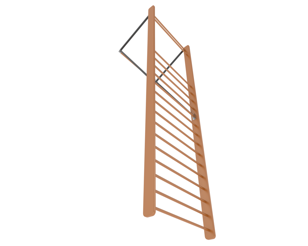 Gymnastics wall bars isolated on background. 3d rendering - illustration png