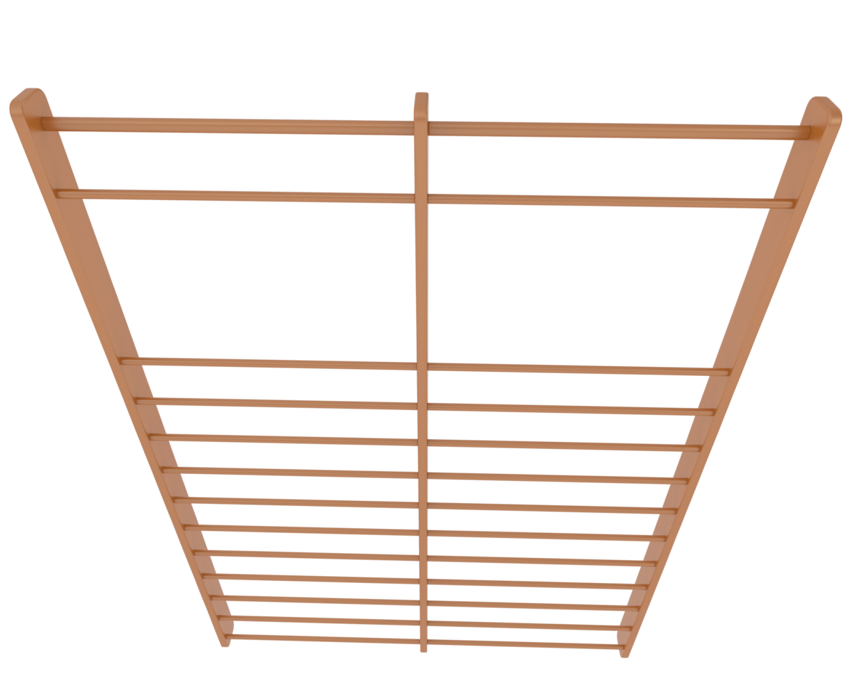 Gymnastics wall bars isolated on background. 3d rendering - illustration png