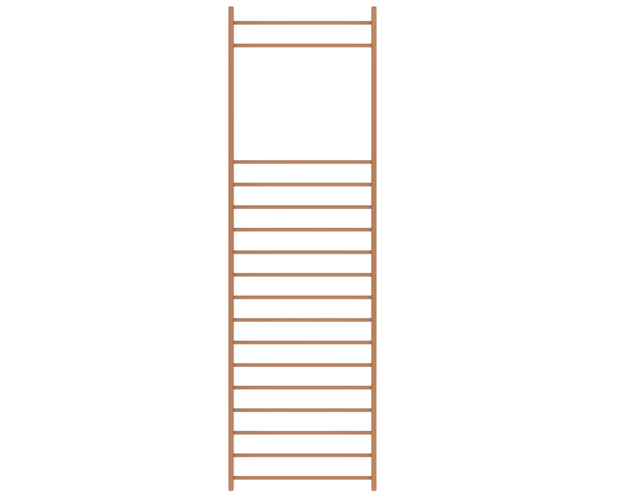 Gymnastics wall bars isolated on background. 3d rendering - illustration png