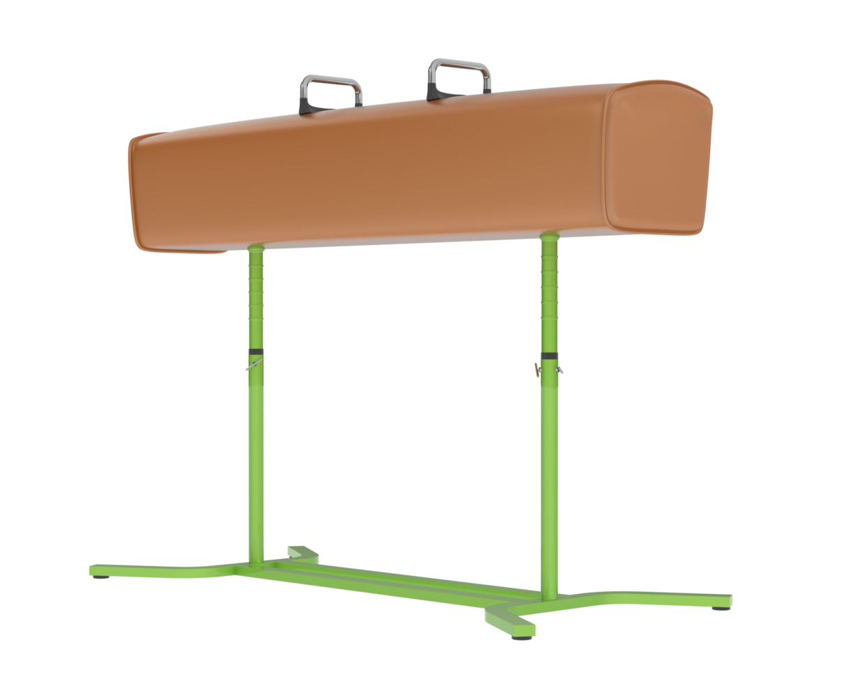 Gymnastic equipment isolated on background. 3d rendering - illustration png