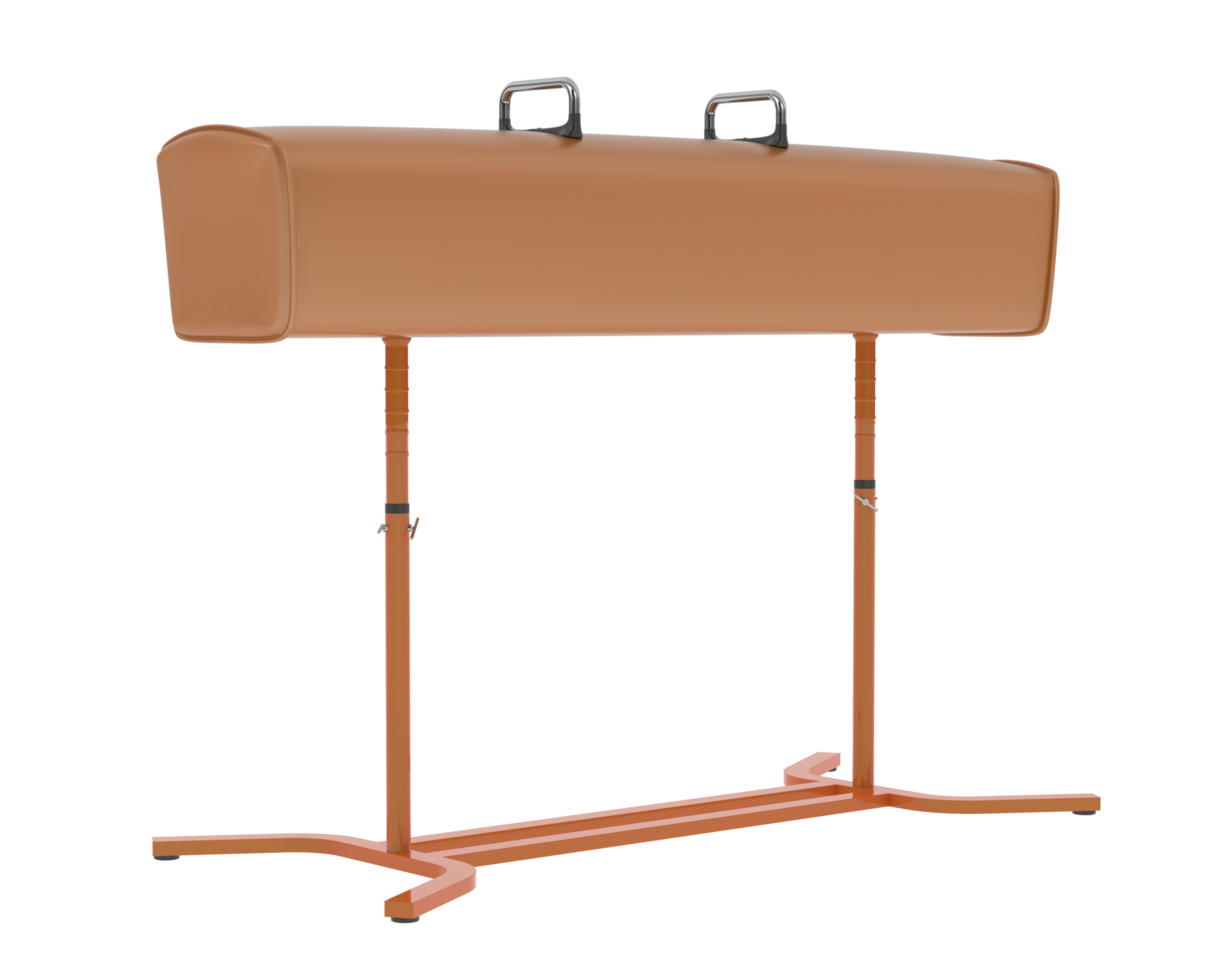 Gymnastic equipment isolated on background. 3d rendering - illustration png