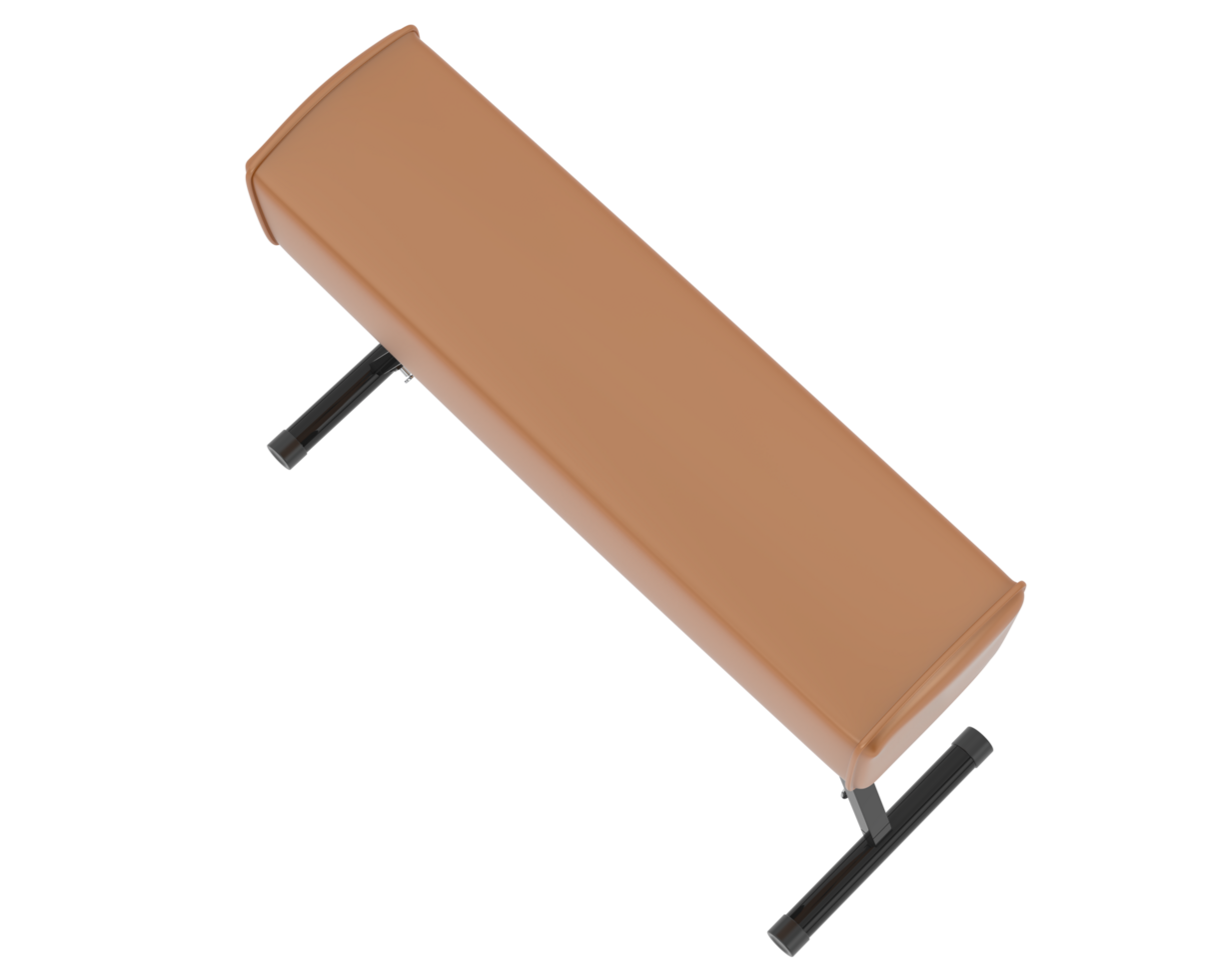 Gymnastic equipment isolated on background. 3d rendering - illustration png