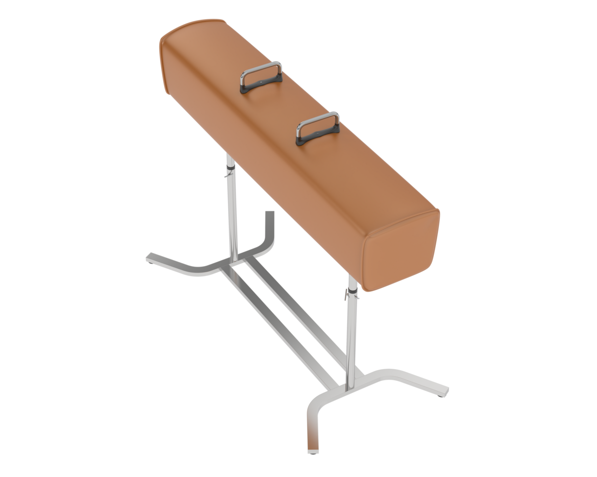 Gymnastic equipment isolated on background. 3d rendering - illustration png