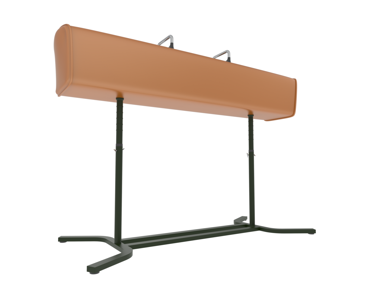 Gymnastic equipment isolated on background. 3d rendering - illustration png