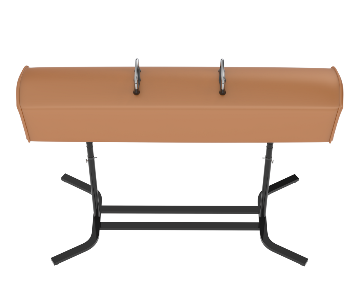 Gymnastic equipment isolated on background. 3d rendering - illustration png