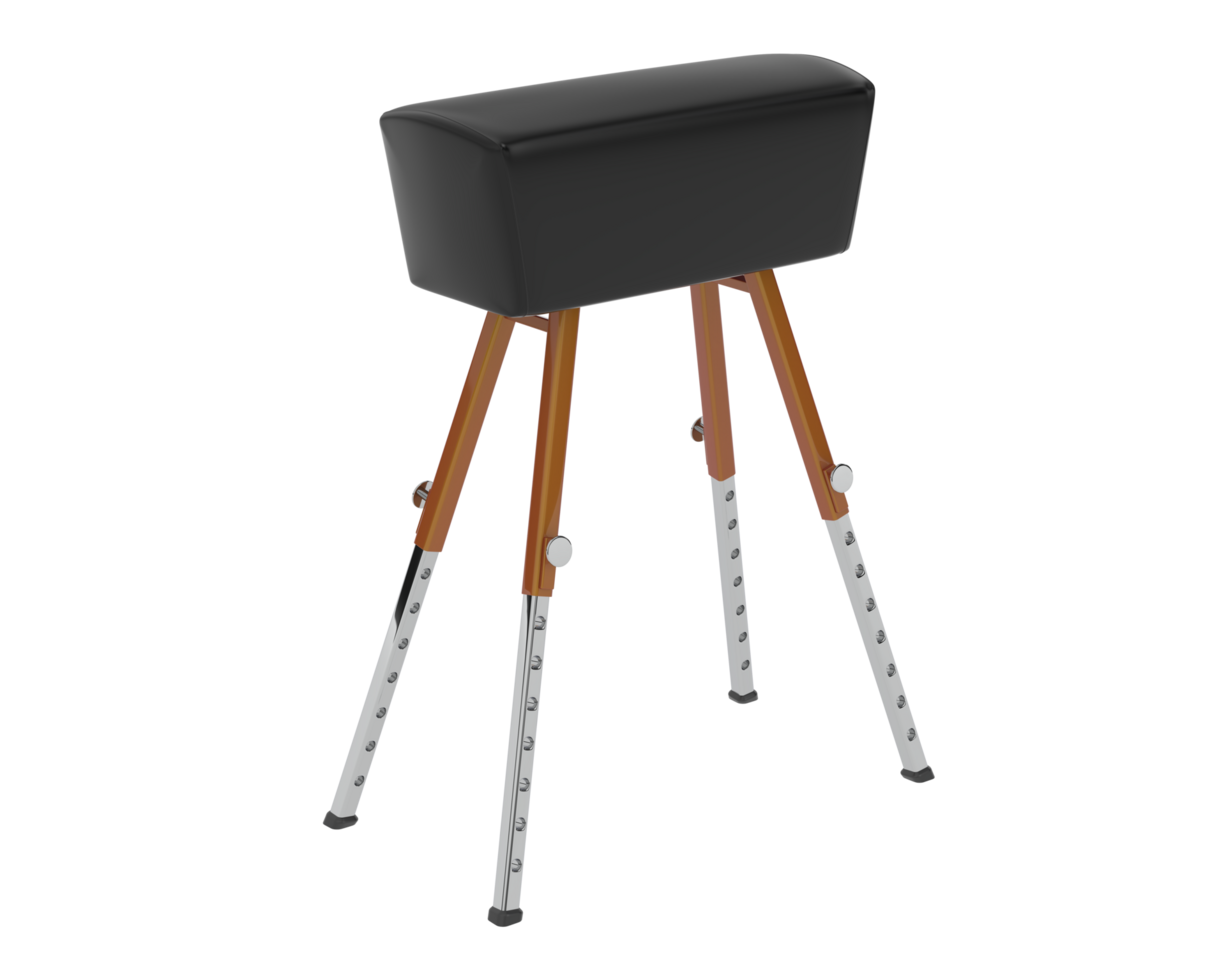 Gymnastic equipment isolated on background. 3d rendering - illustration png