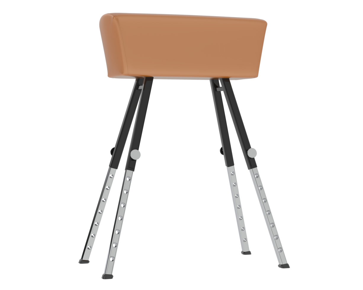 Gymnastic equipment isolated on background. 3d rendering - illustration png