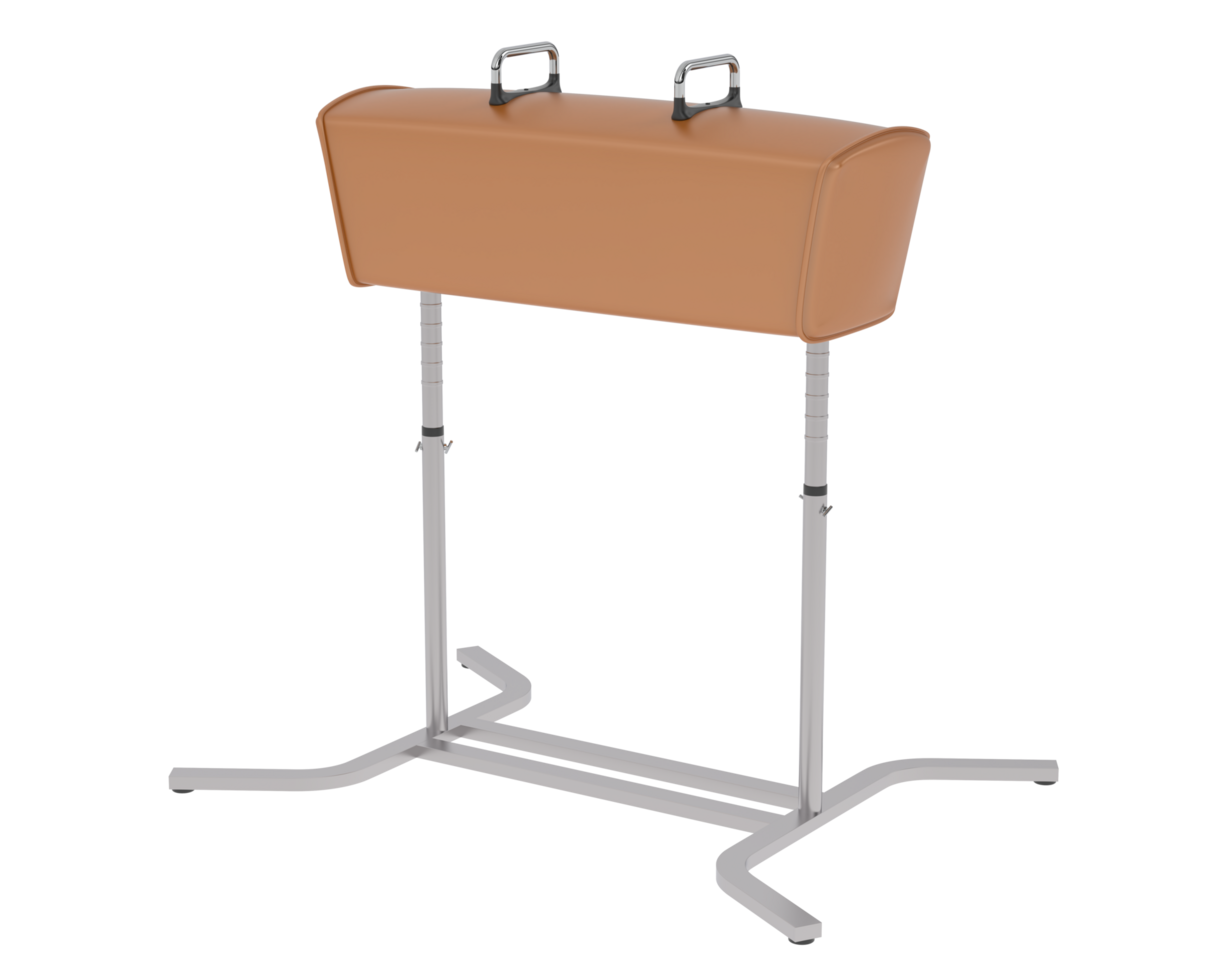 Gymnastic equipment isolated on background. 3d rendering - illustration png