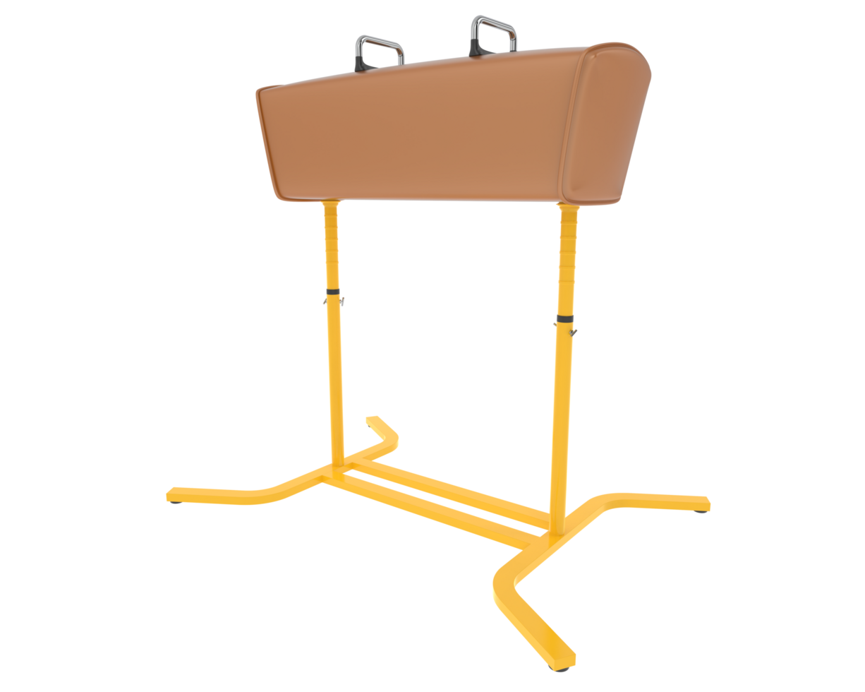 Gymnastic equipment isolated on background. 3d rendering - illustration png