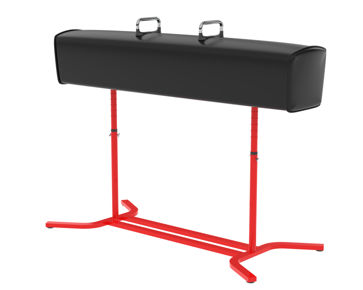 Gymnastic equipment isolated on background. 3d rendering - illustration png