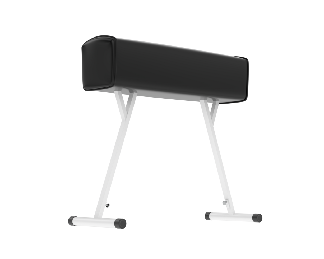 Gymnastic equipment isolated on background. 3d rendering - illustration png