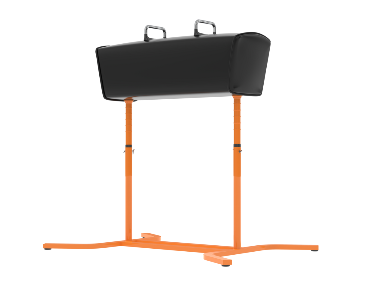 Gymnastic equipment isolated on background. 3d rendering - illustration png