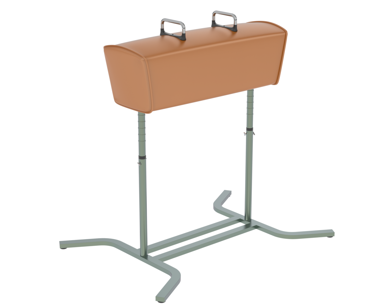 Gymnastic equipment isolated on background. 3d rendering - illustration png