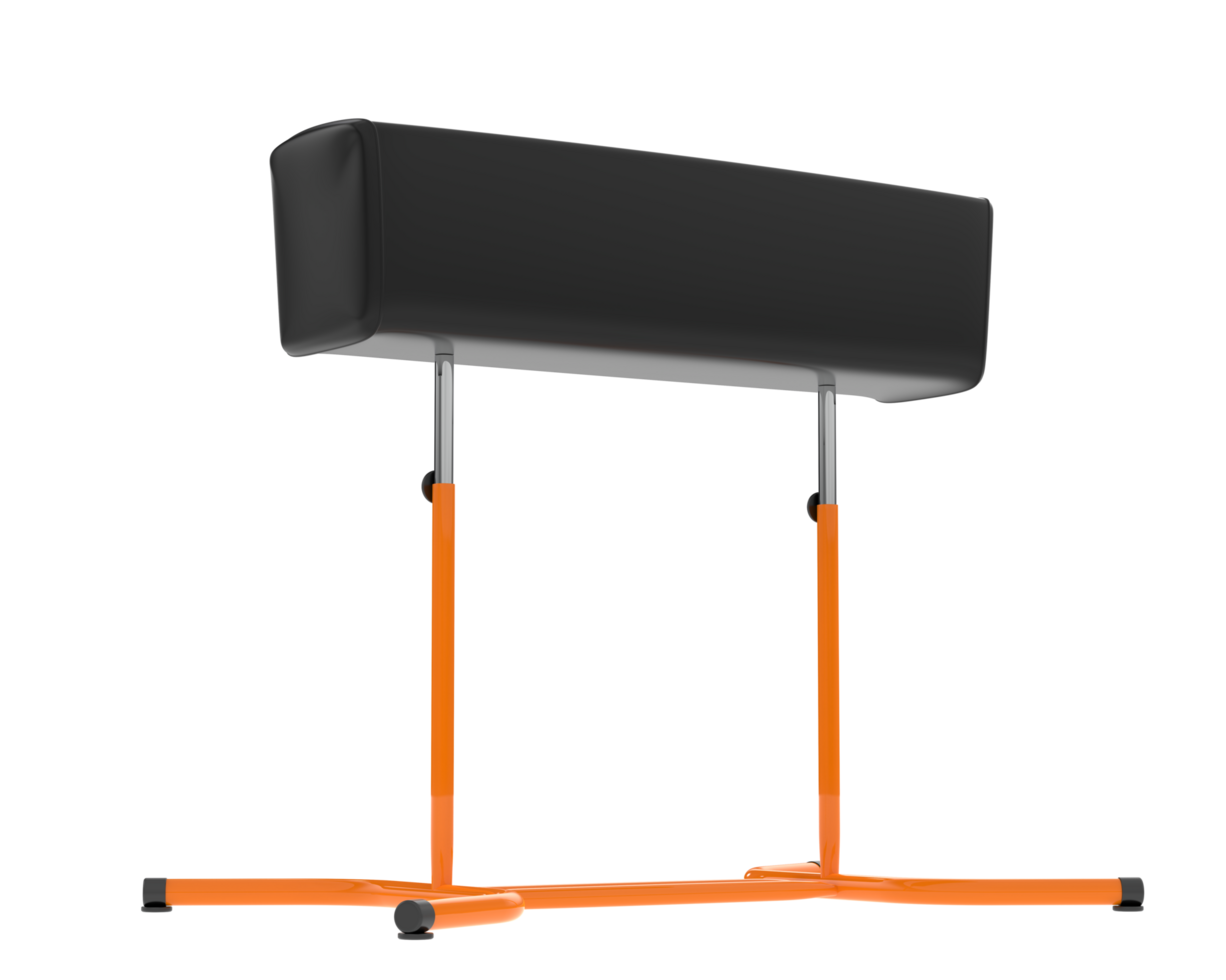 Gymnastic equipment isolated on background. 3d rendering - illustration png