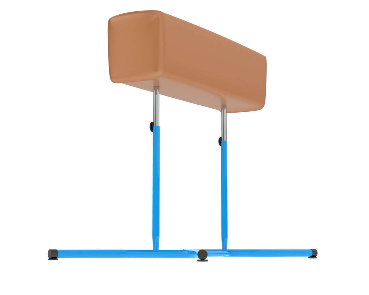 Gymnastic equipment isolated on background. 3d rendering - illustration png