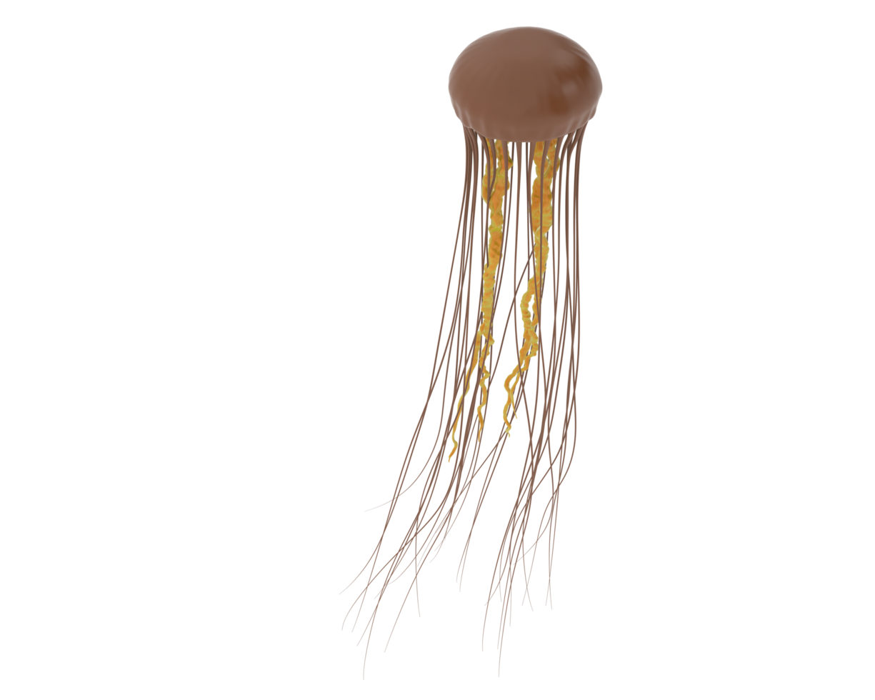 Jellyfish isolated on background. 3d rendering - illustration png
