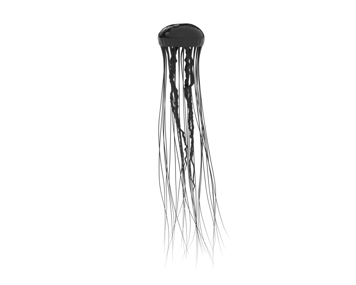 Jellyfish isolated on background. 3d rendering - illustration png