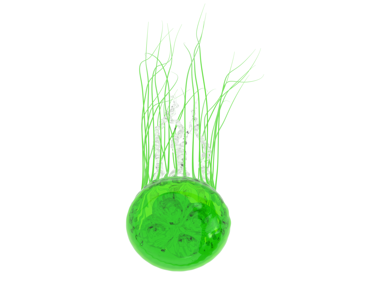 Jellyfish isolated on background. 3d rendering - illustration png