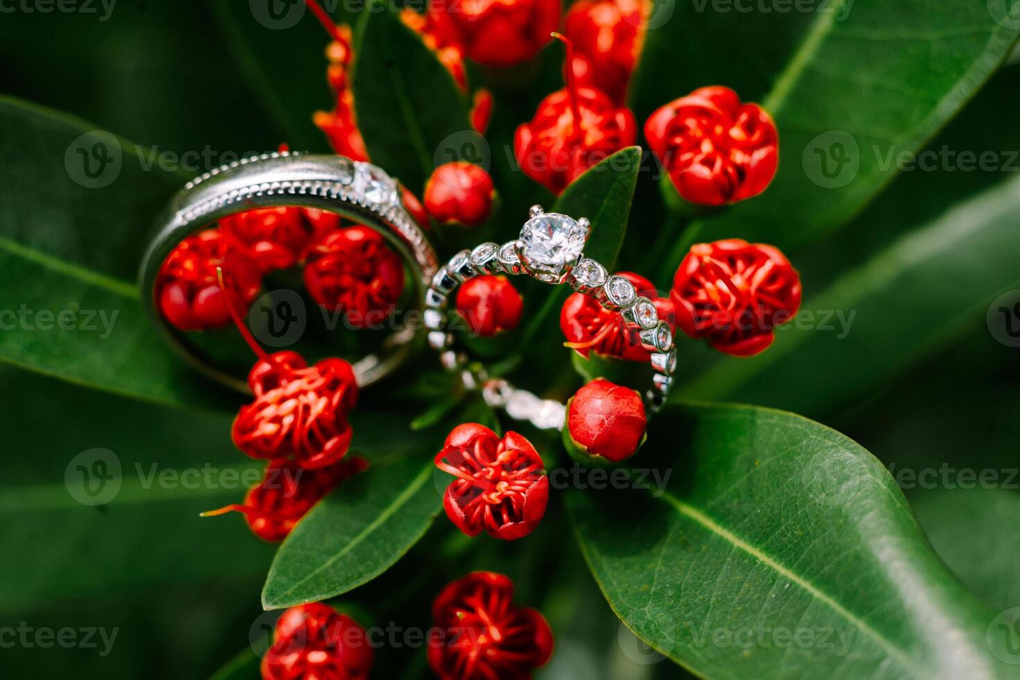 Amongst the vibrant red blossoms, the wedding ring rests, a symbol of enduring passion photo