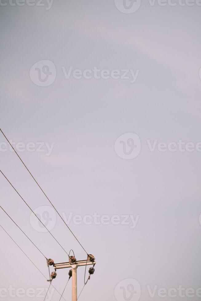A lone utility pole against a clear sky, offering ample space for text or graphics, perfect for conveying messages or advertisements photo