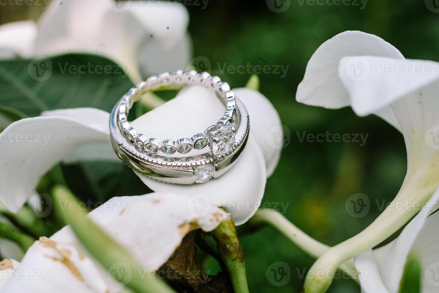 Amongst the vibrant red blossoms, the wedding ring rests, a symbol of enduring passion photo